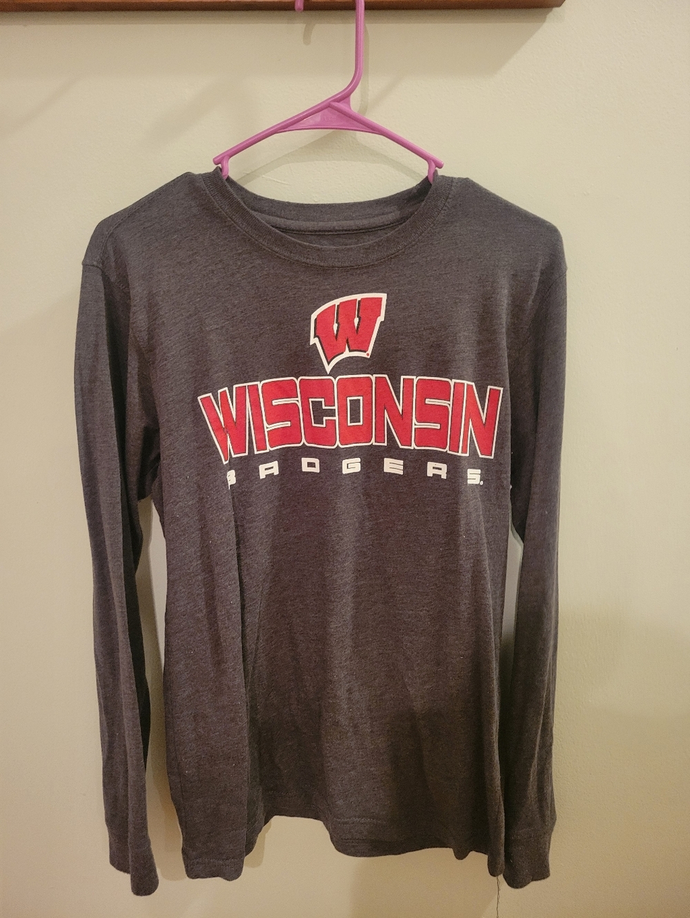 Wisconsin Badgers Gray Long Sleeve Tee